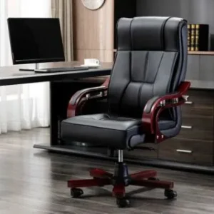 Executive Office Chair